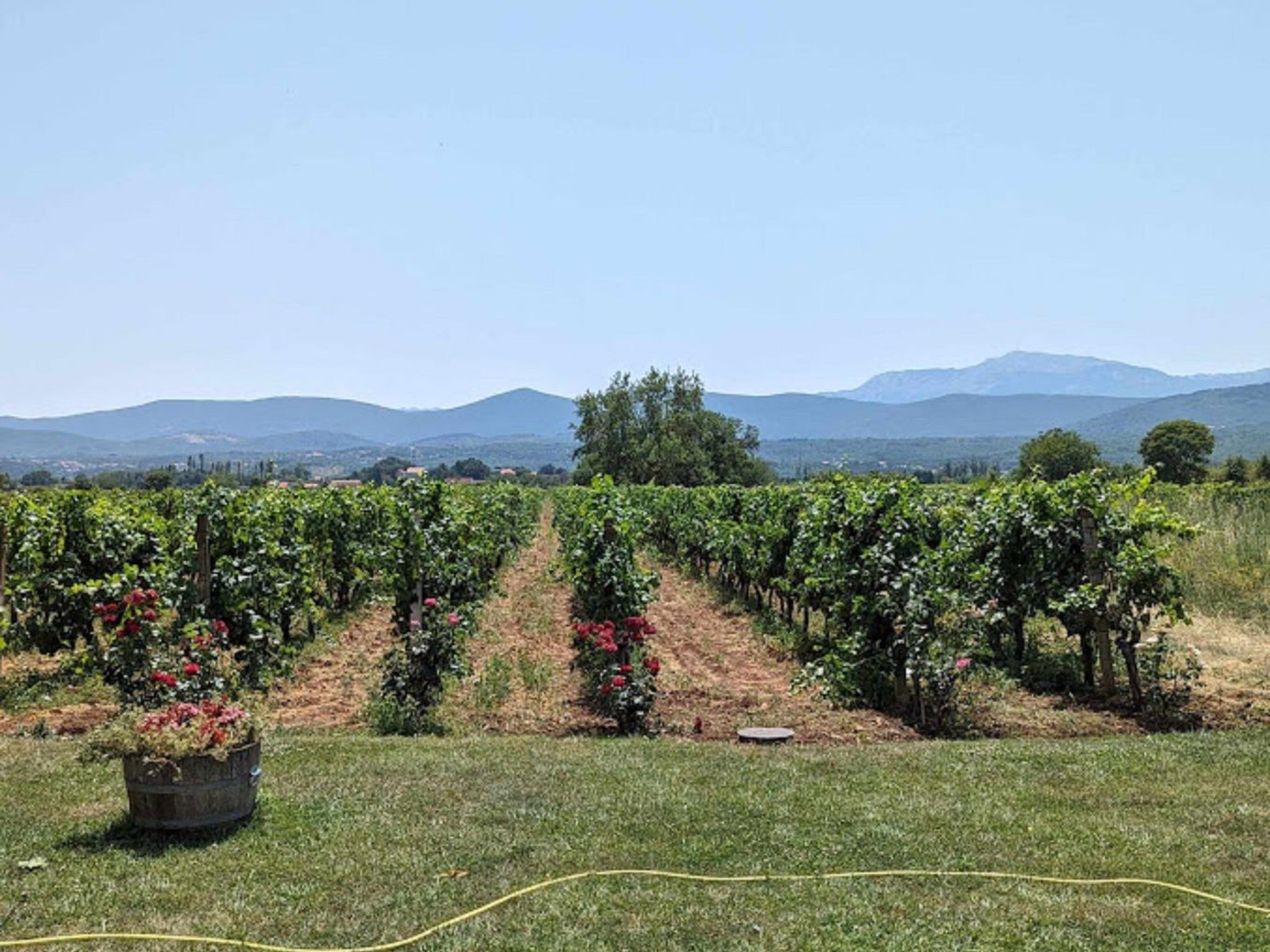 Green Paradise mit Pool-Dedans