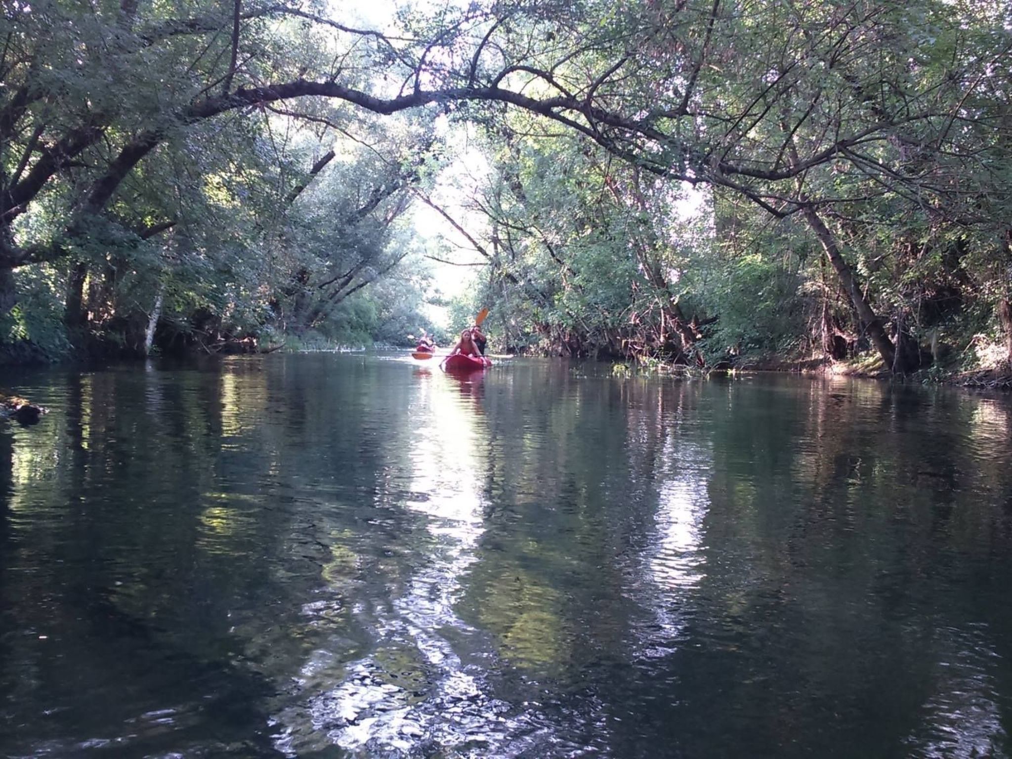 Freistehende Villa Iva Grubine mit Privatpool-Inside