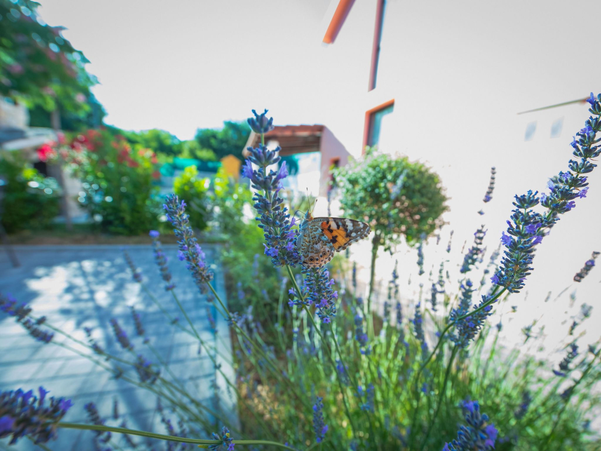 Haus in Grubine mit Außenpool-Binnen