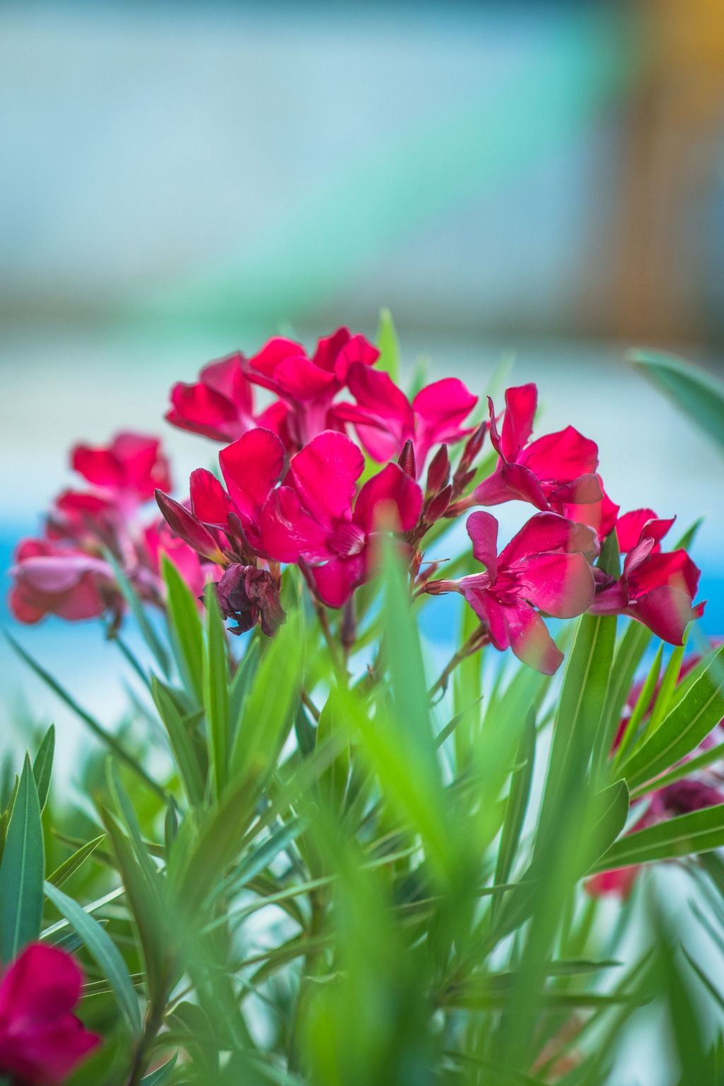 Haus in Grubine mit Außenpool-Binnen