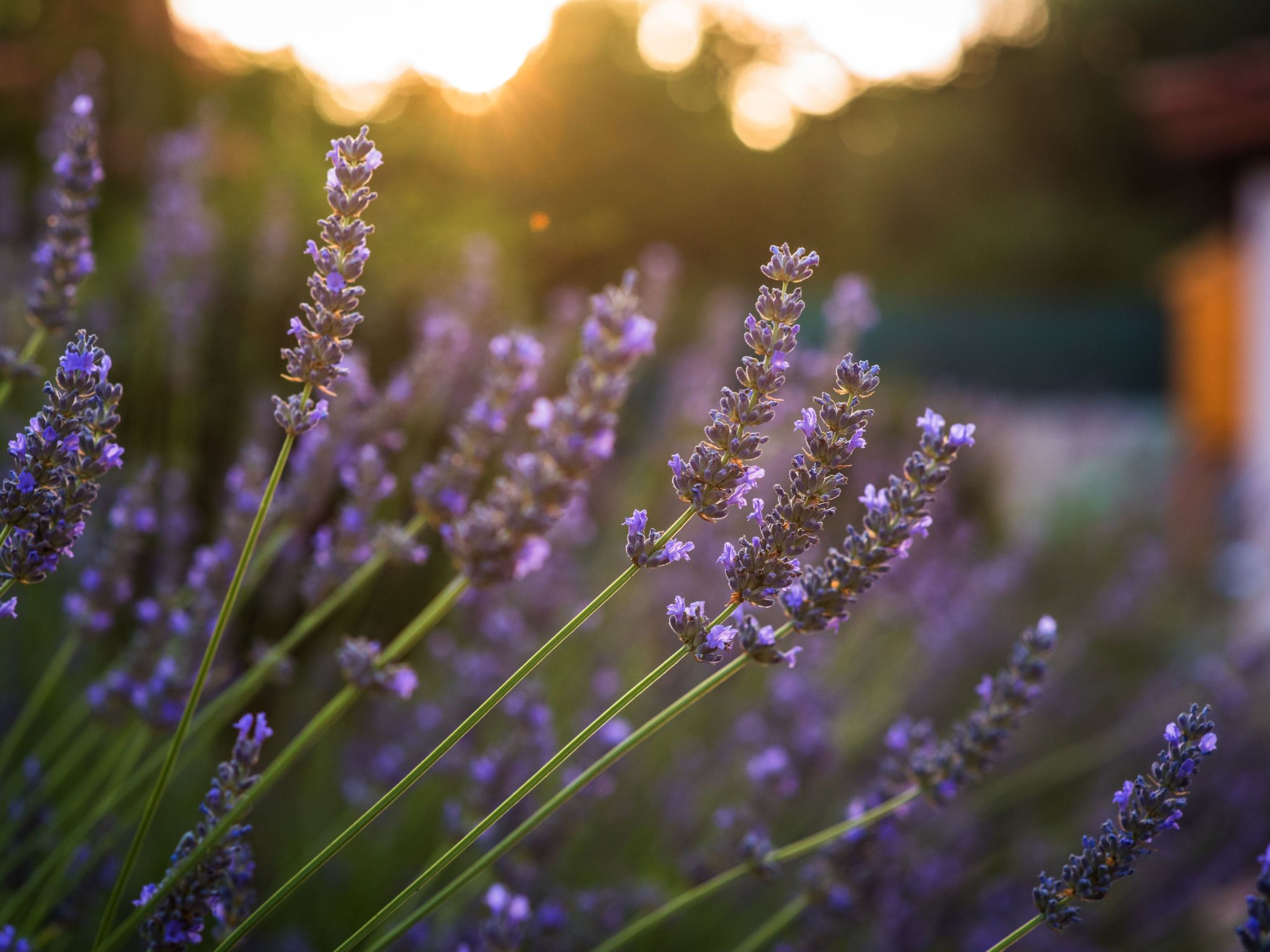 Haus in Grubine mit Außenpool-Binnen