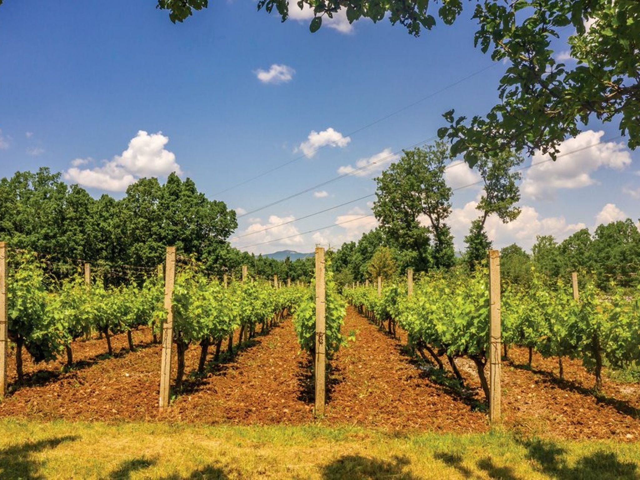 Villa Mia Flora mit Pool-Drinnen