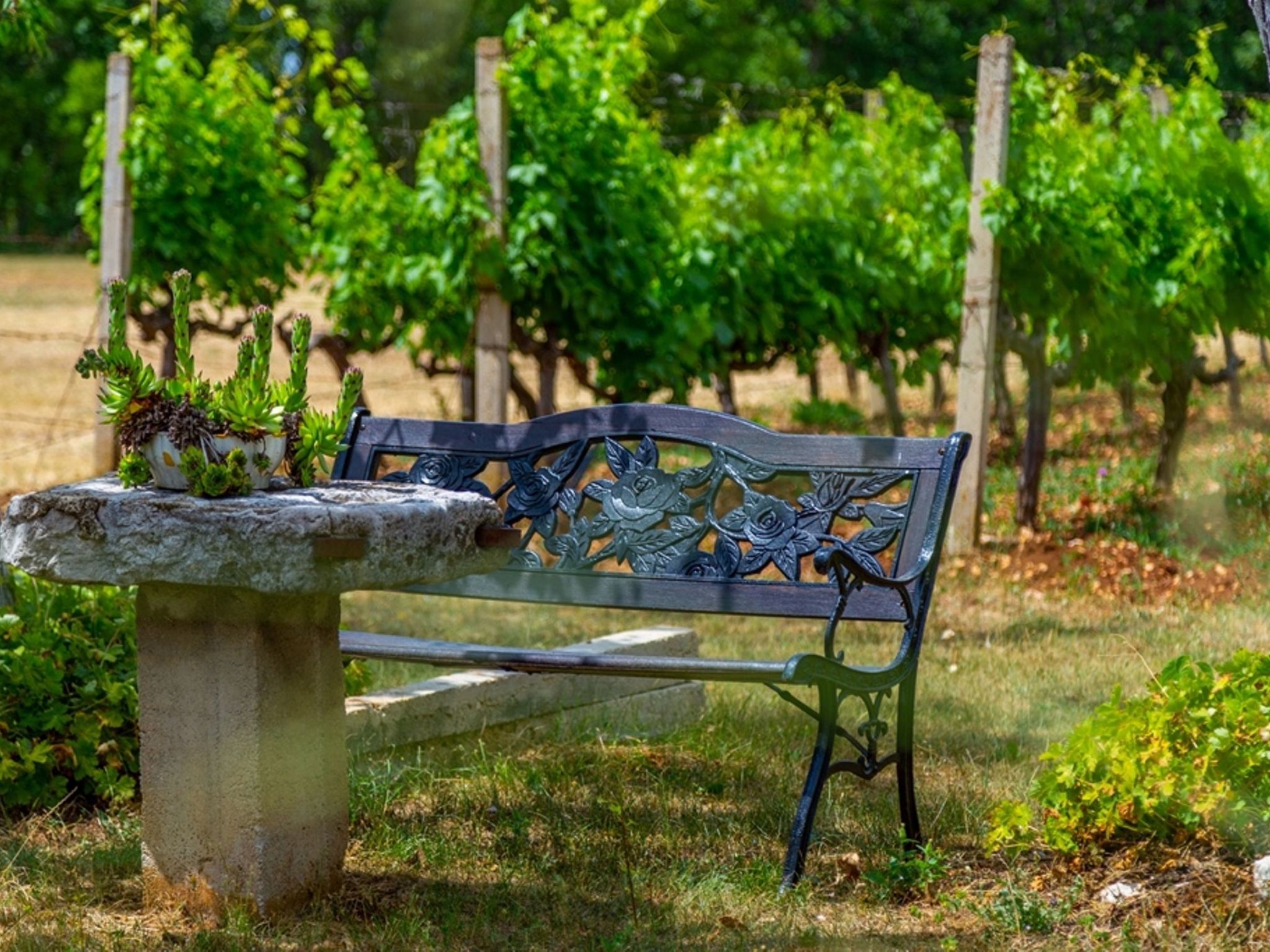 Villa Mia Flora mit Pool-Drinnen