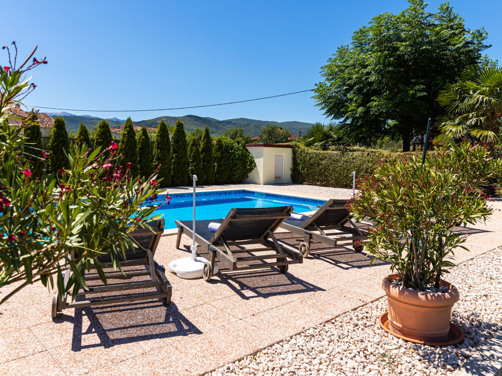 Green Oasis — Pool Outdoor (4 of 34)