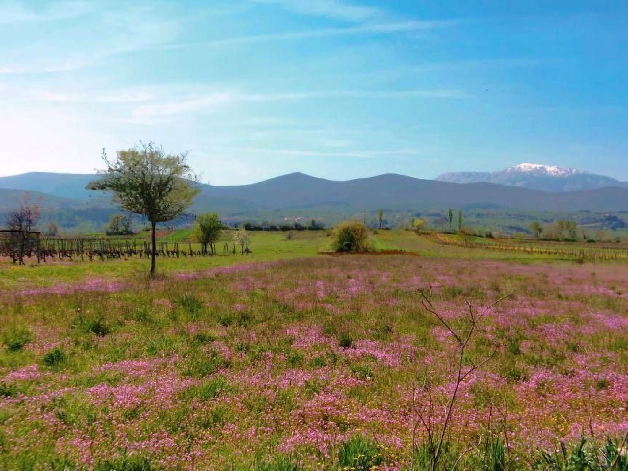Mit Whirlpool-Buiten