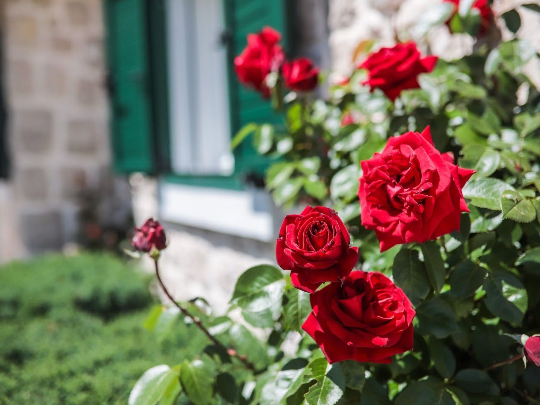 Freistehendes Ferienhaus in Duge Njive mit Privatem Pool-Dedans