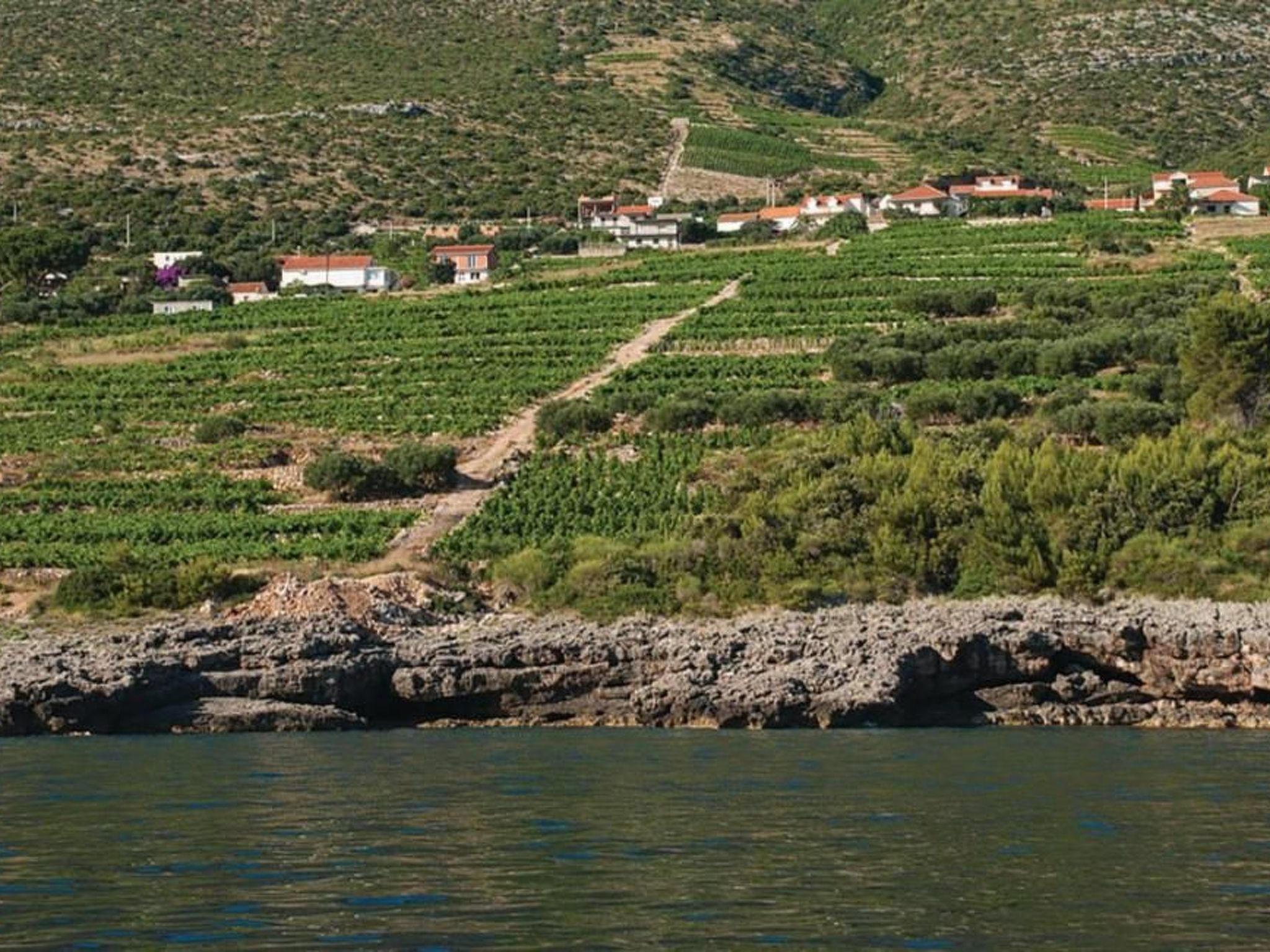 Mit Blick auf das Wasser-Draußen
