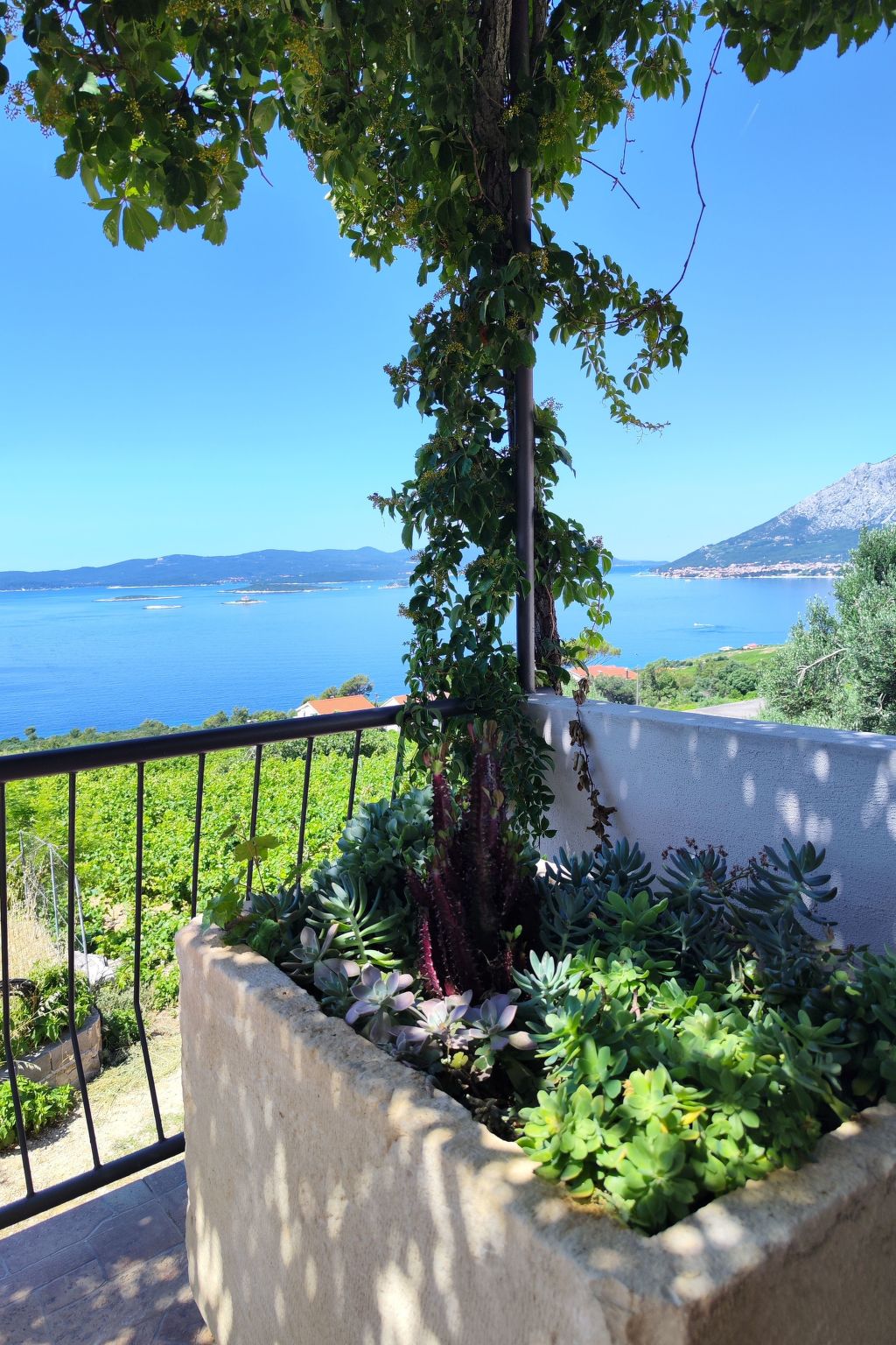 mit Blick auf das Wasser — Terrace (2 of 40)