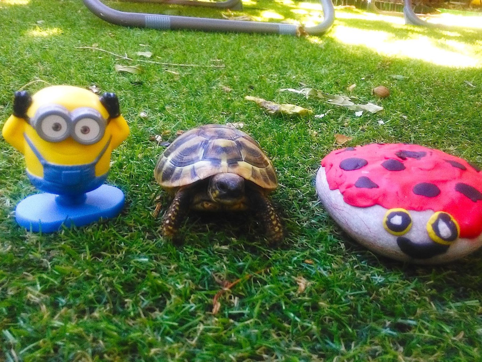 Karmen auf zwei Ebenen mit Garten-Binnen