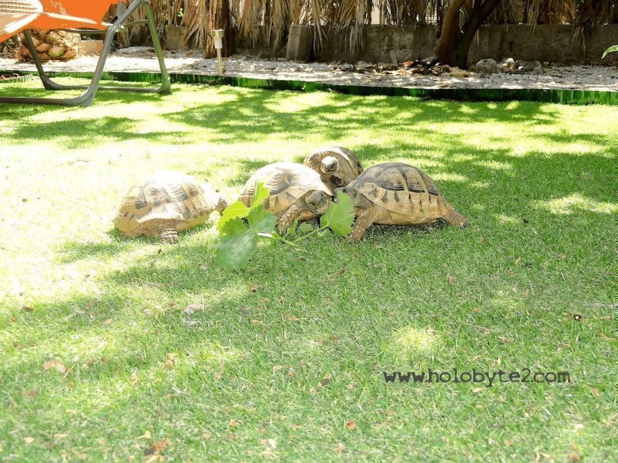 Karmen auf zwei Ebenen mit Garten-Binnen