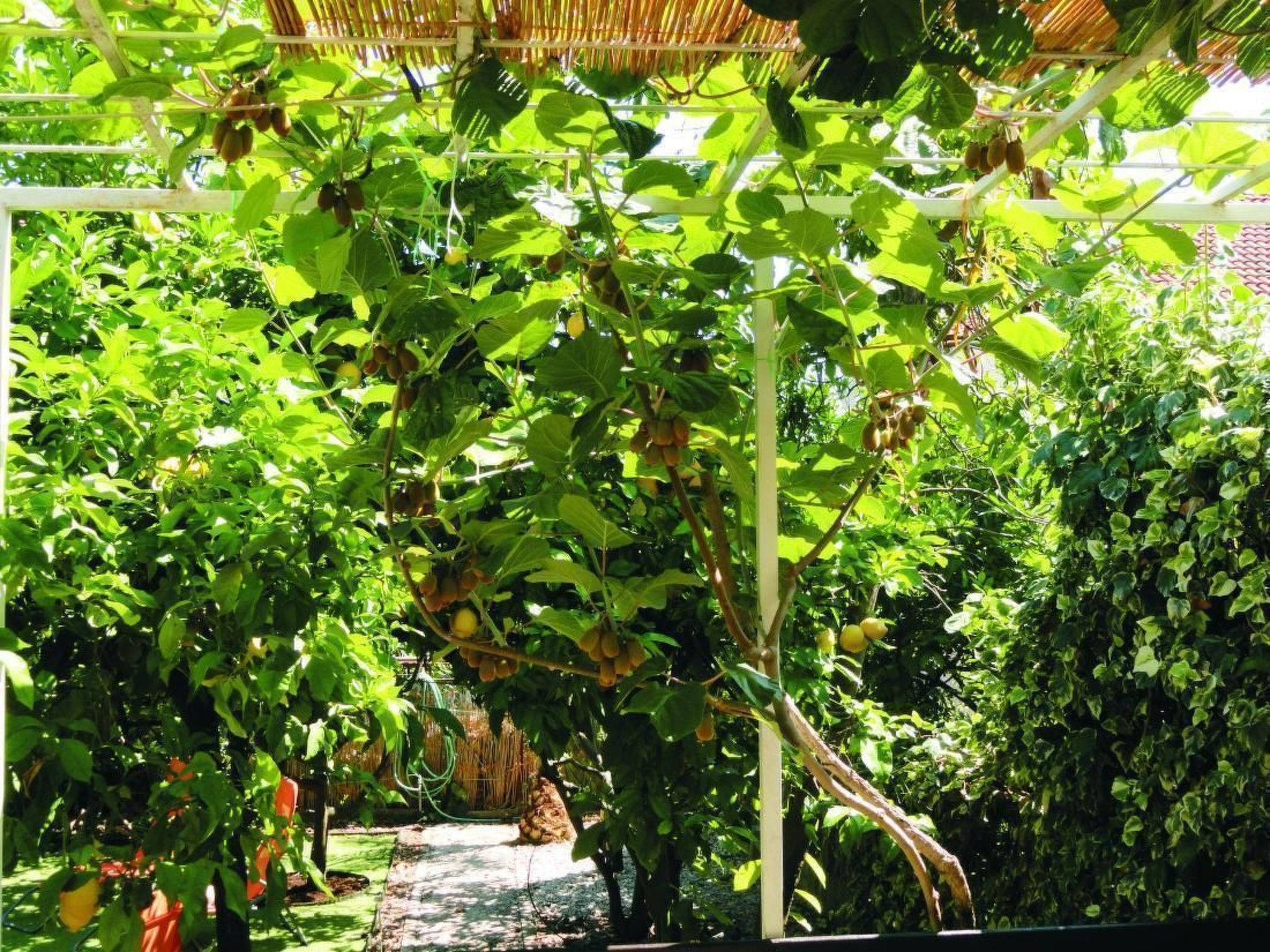 Karmen auf zwei Ebenen mit Garten-Binnen