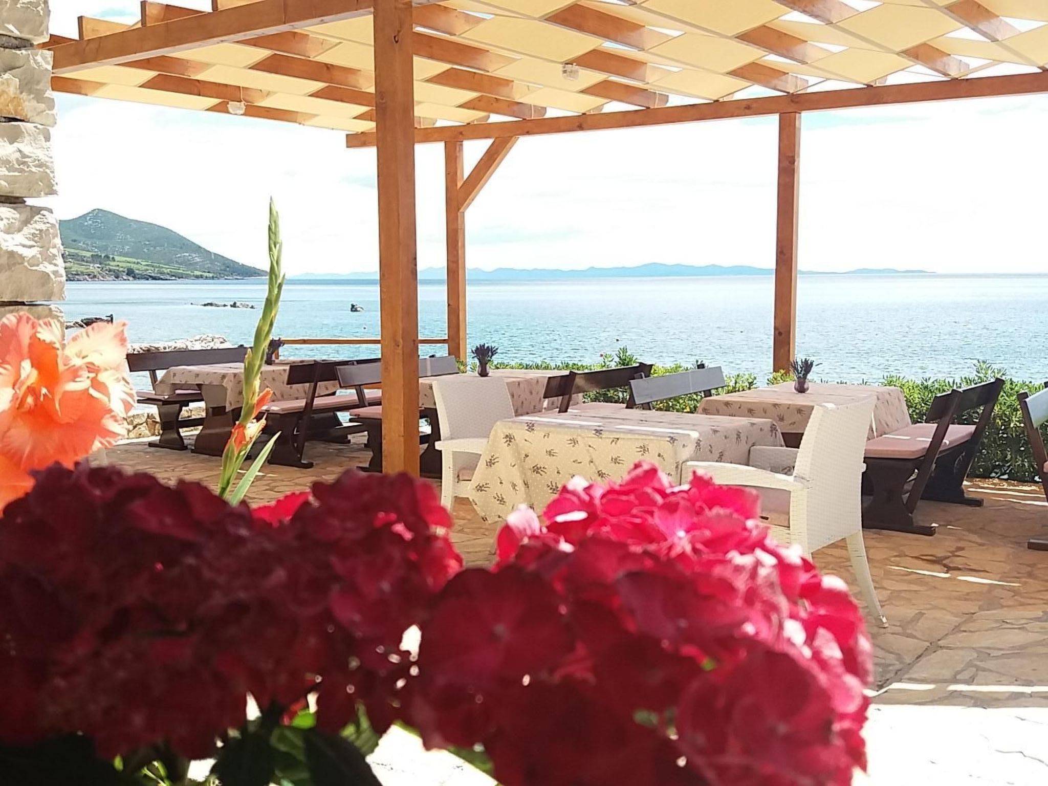 Ferienvilla "Dalmatiner" mit Infinity Pool-Binnen