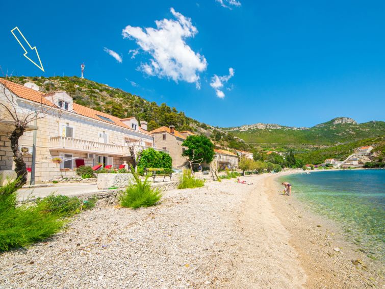 4-persoons appartement Jelka met zeezicht in Trstenik in Trstenik