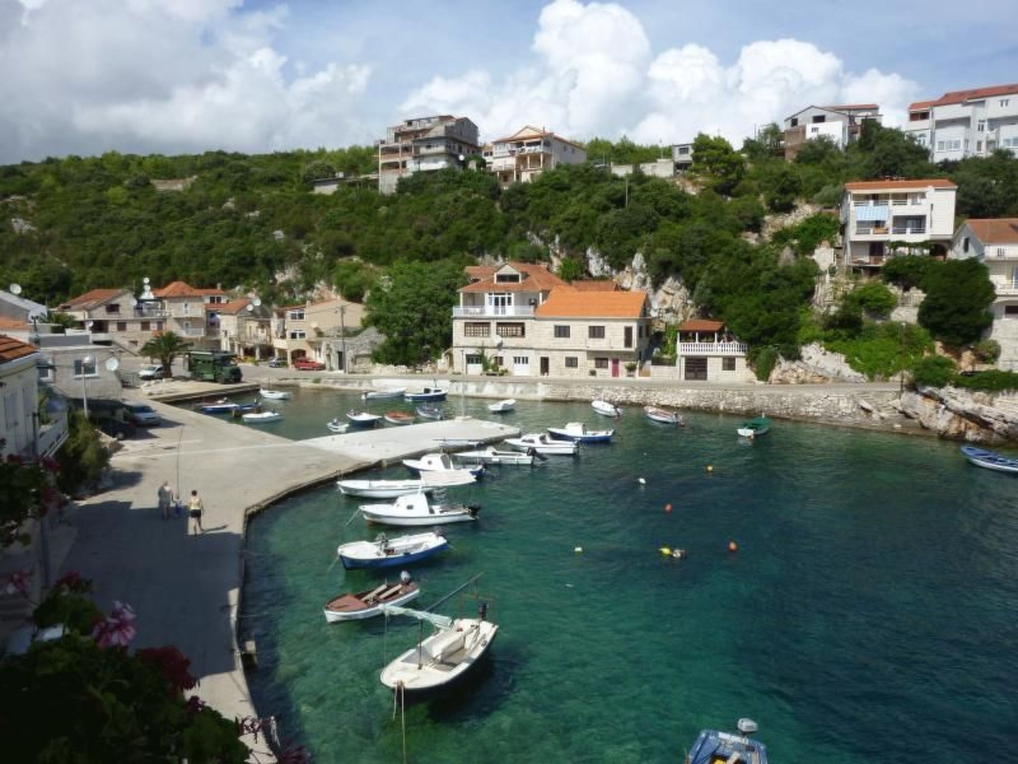 Toni-Image-tags.info