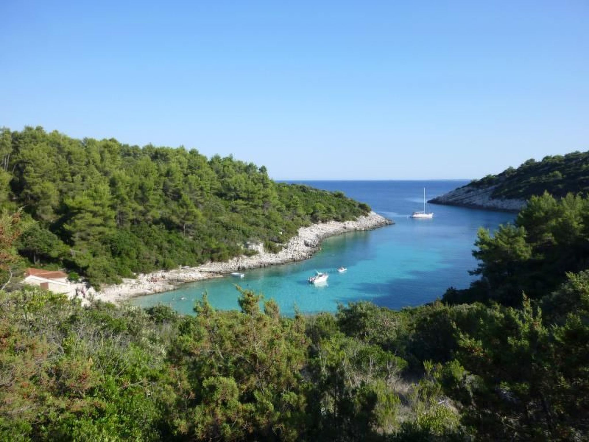 Toni-Image-tags.info