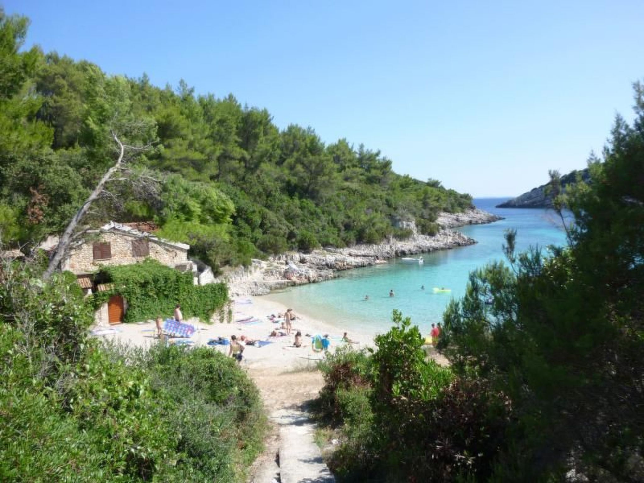 Toni-Image-tags.info