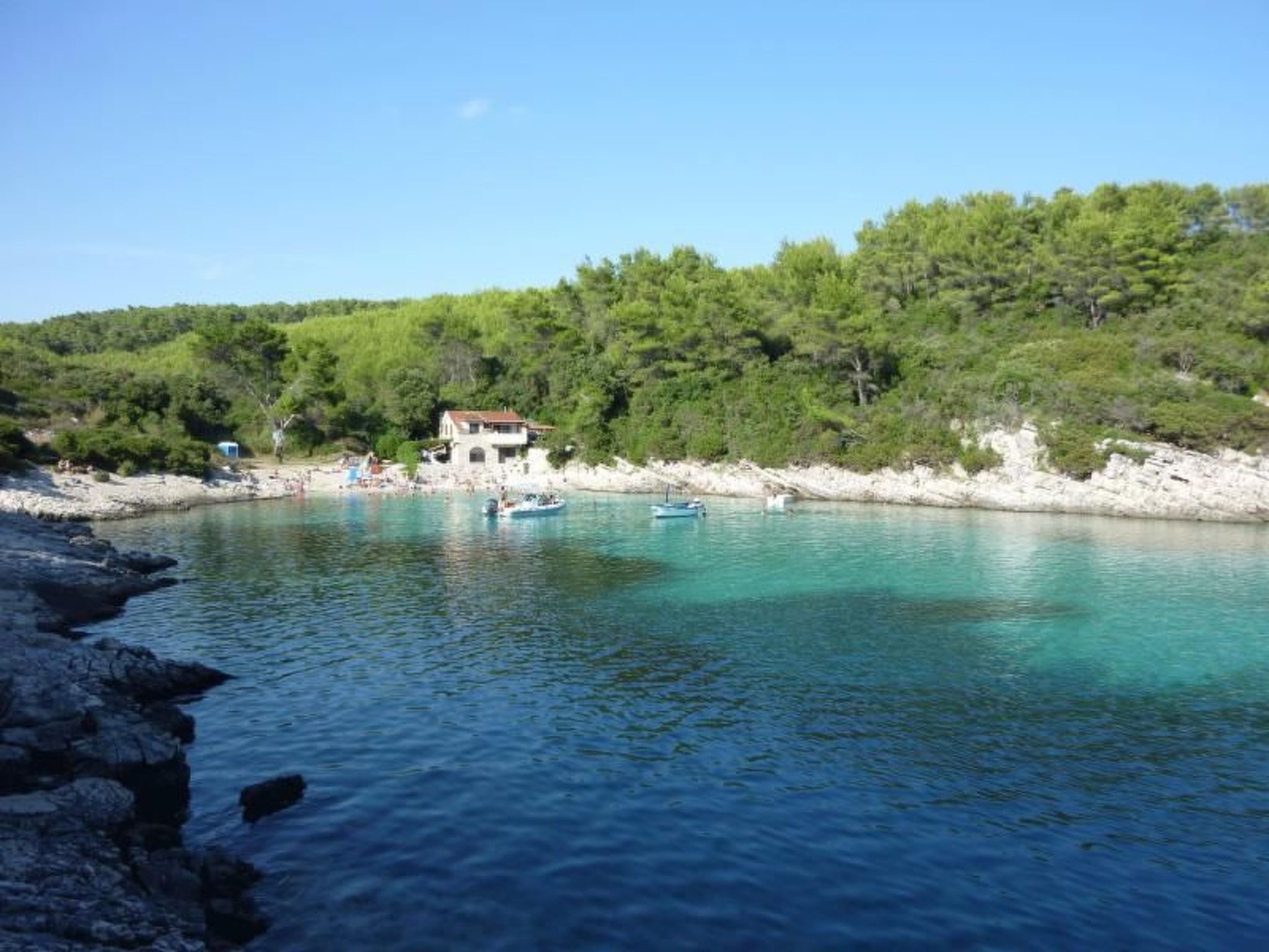 Toni-Image-tags.info