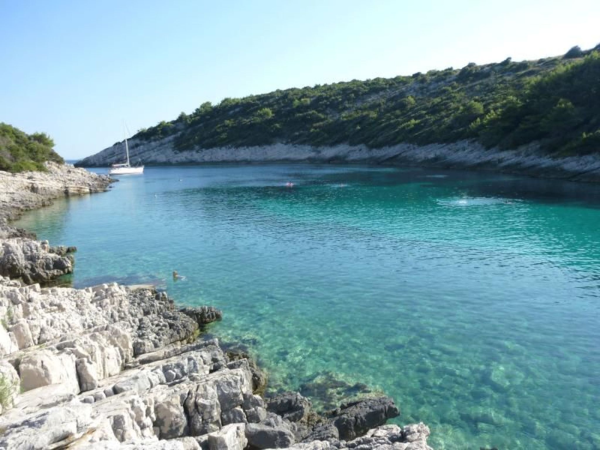 Toni-Image-tags.info