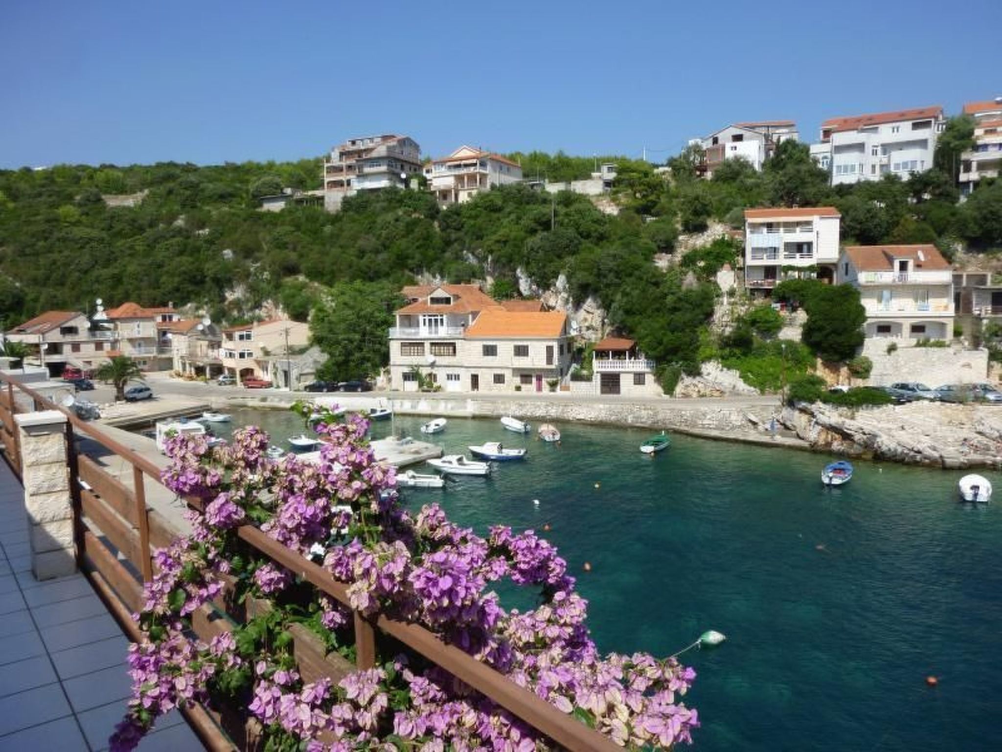 Luka-Image-tags.info