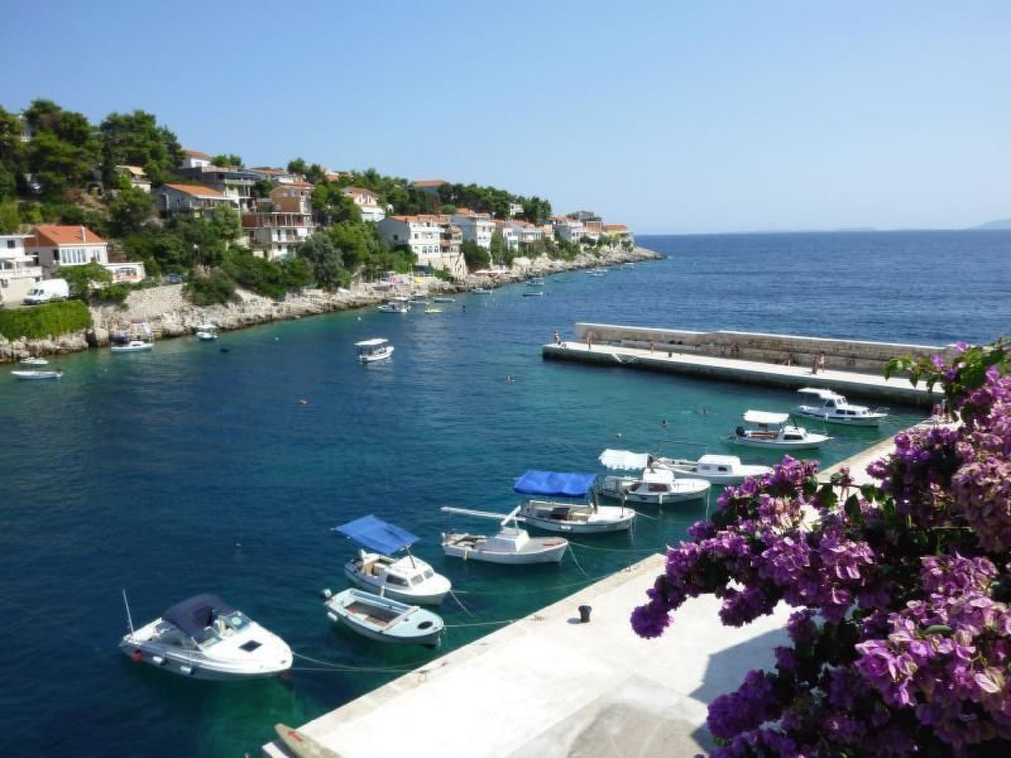 Luka-Image-tags.info