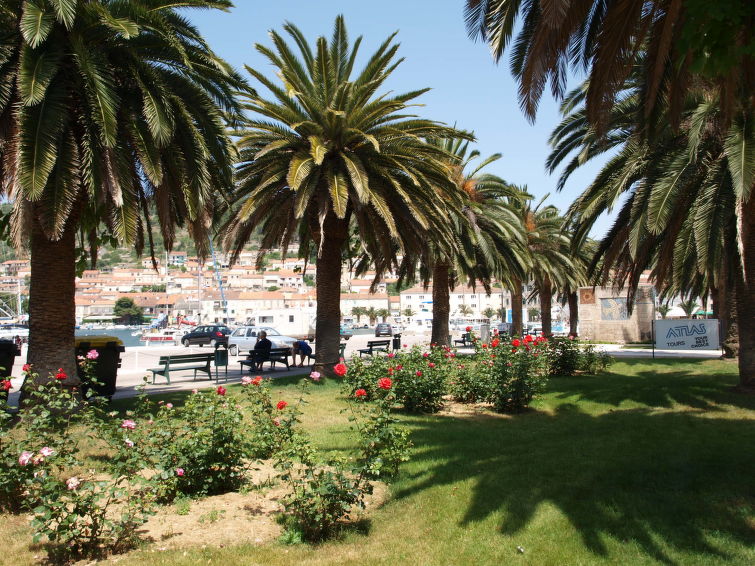 3-persoons appartement Surjan aan zee in Vela Luka in Korčula/Vela Luka