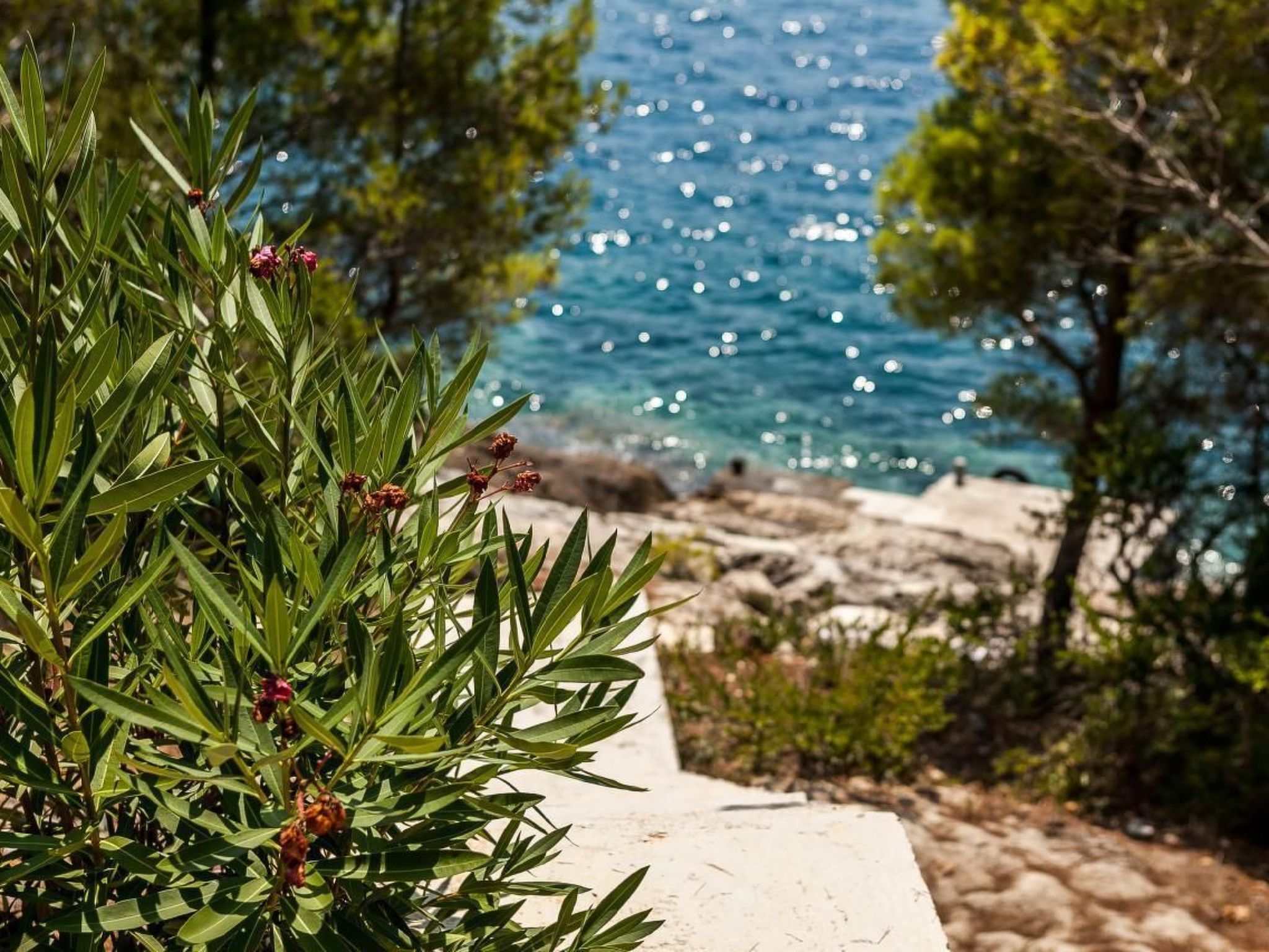 Photo of Villa Style and Sea