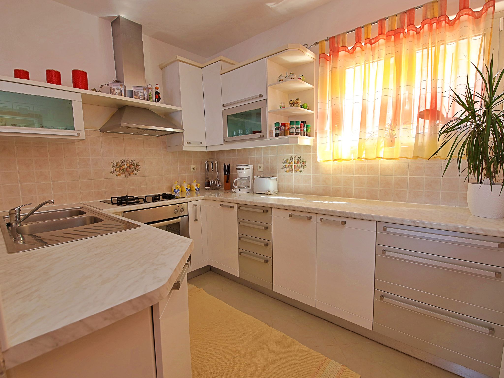 Photo of Damjanović