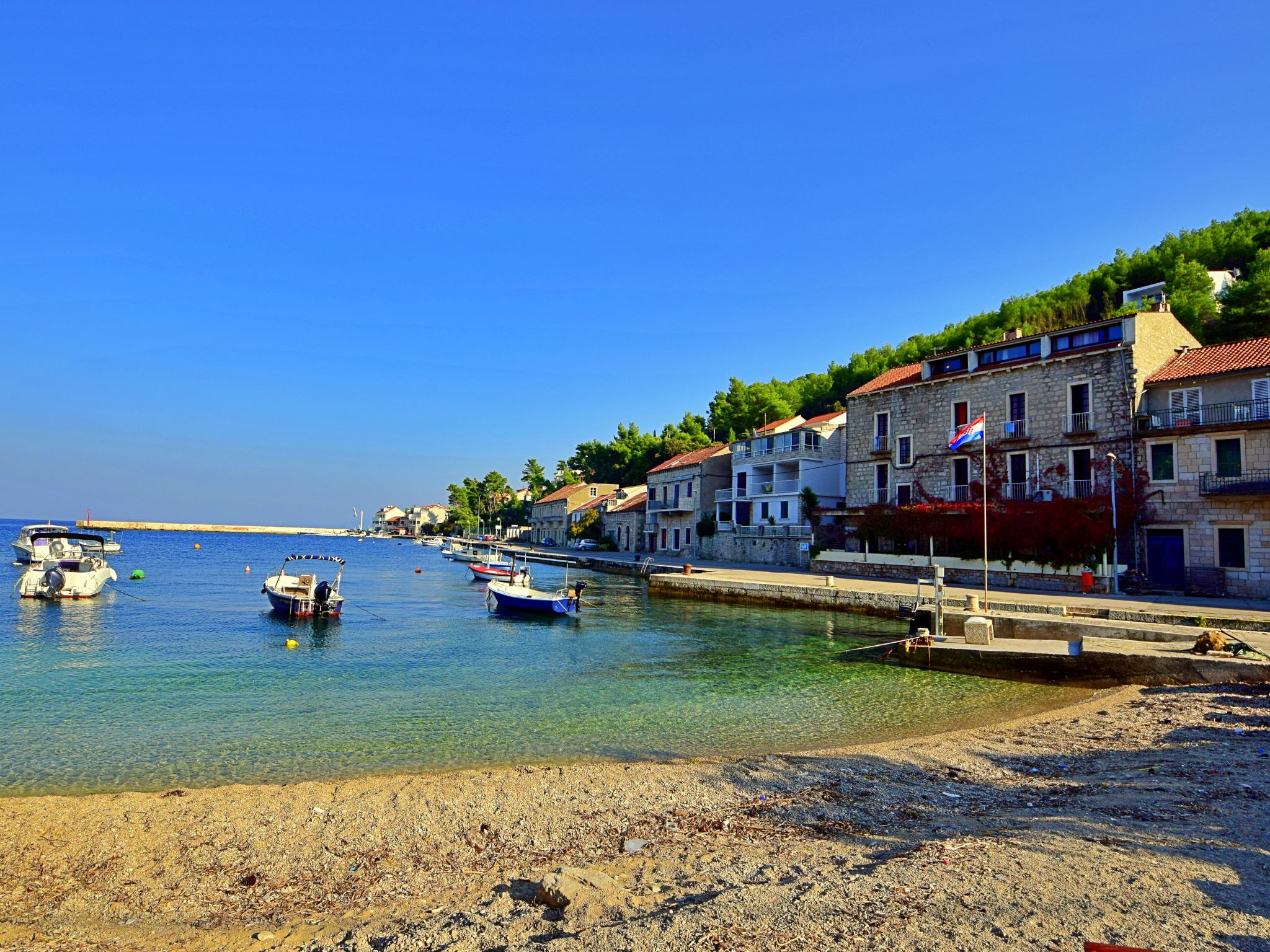 Photo of Damjanović