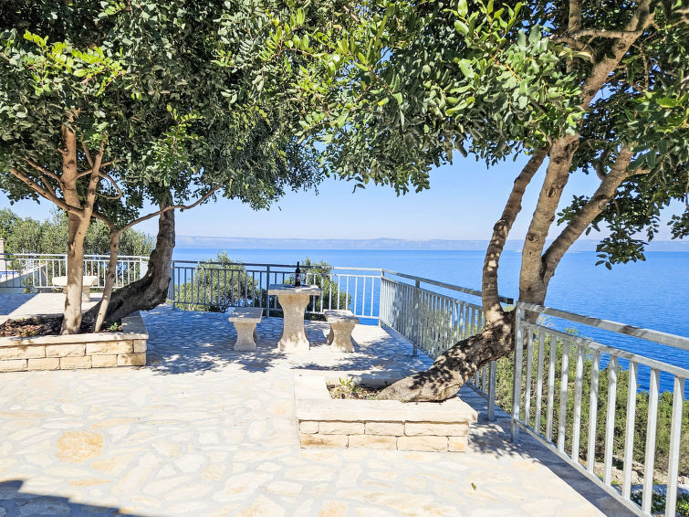 Photo of Brankovi Dvori