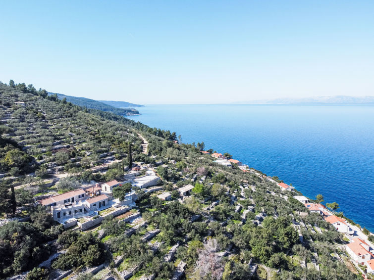 Photo of Brankovi Dvori