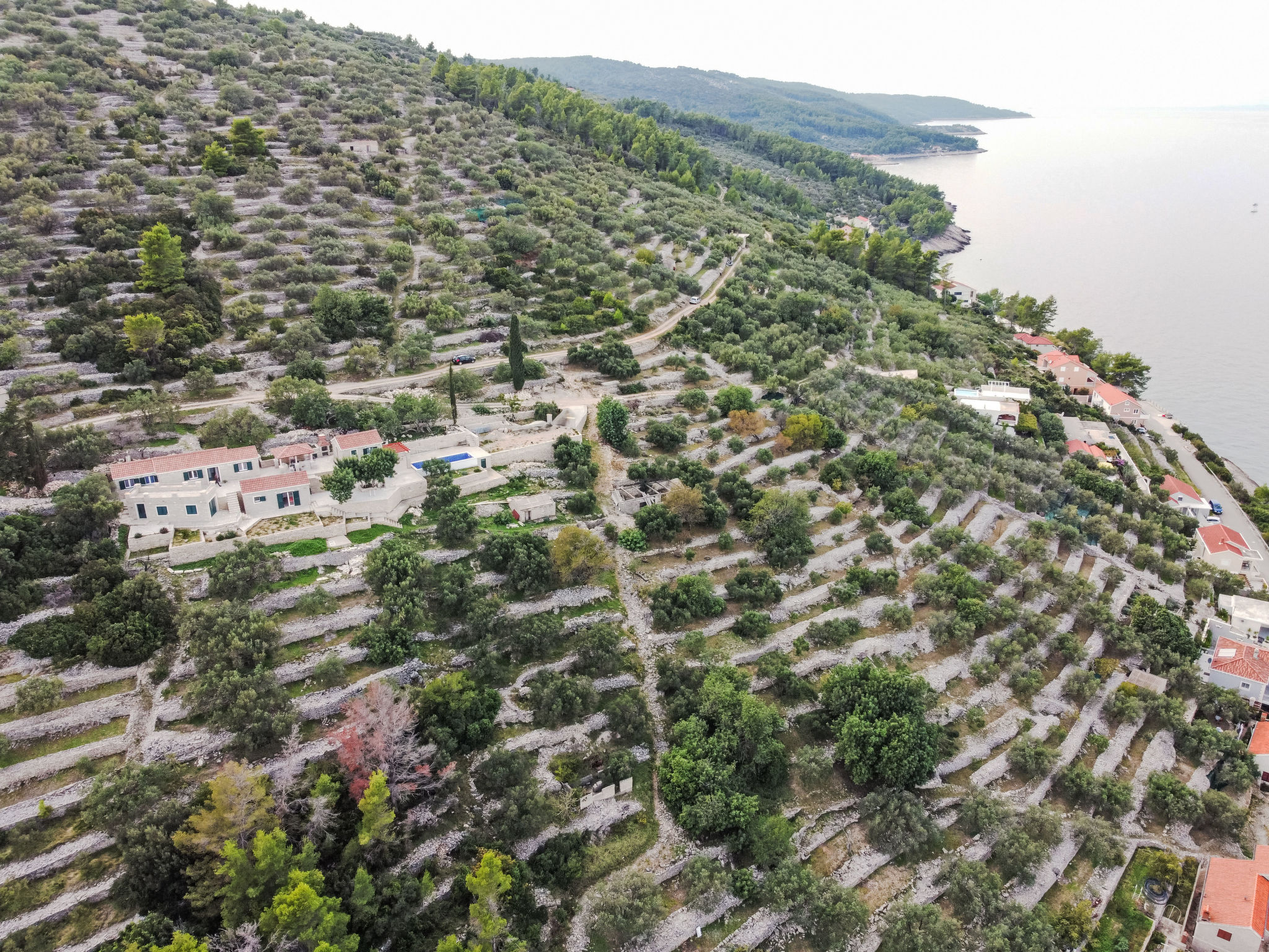 Brankovi Dvori-Buiten