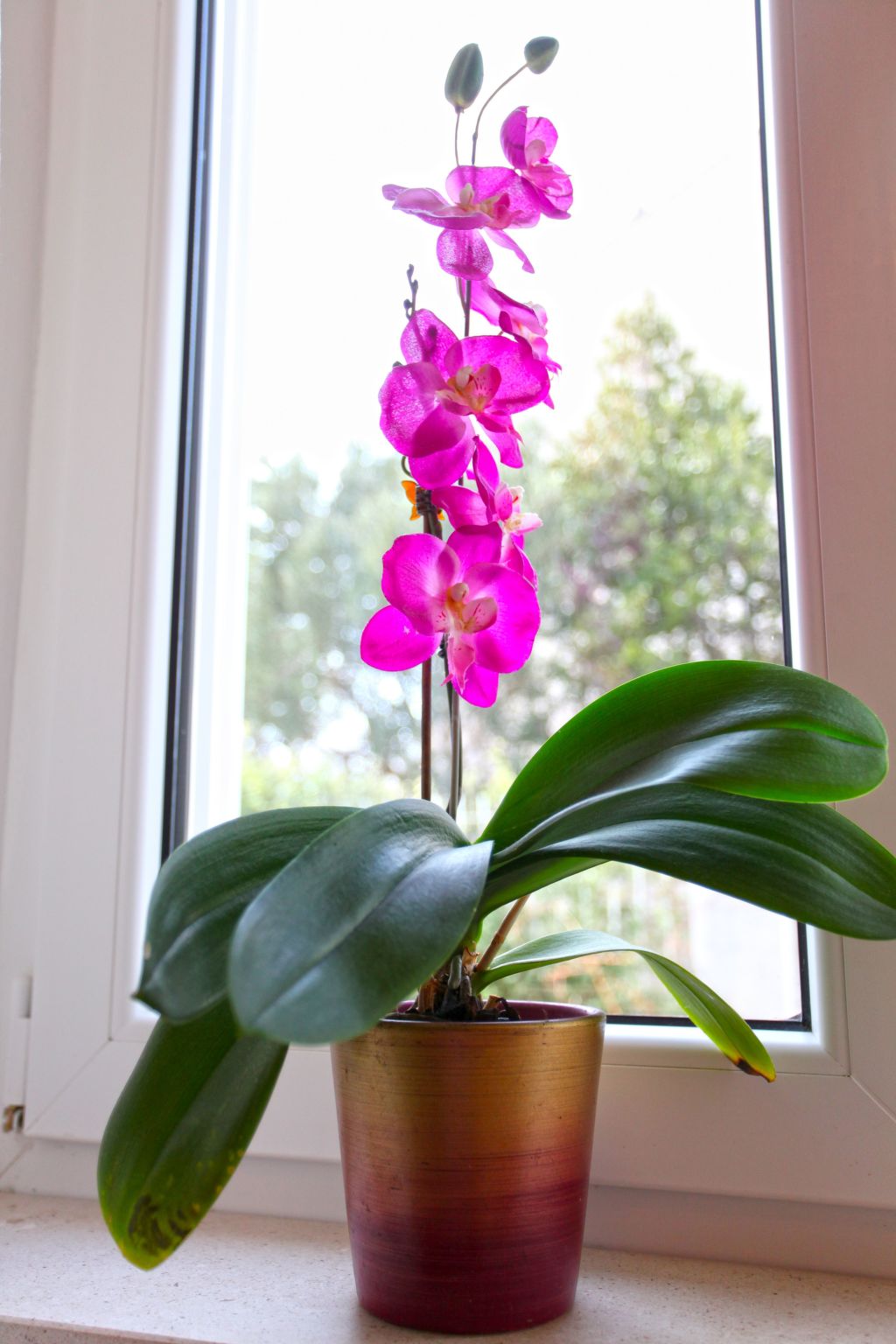 Ivana mitten im Blumengarten-Image-tags.info