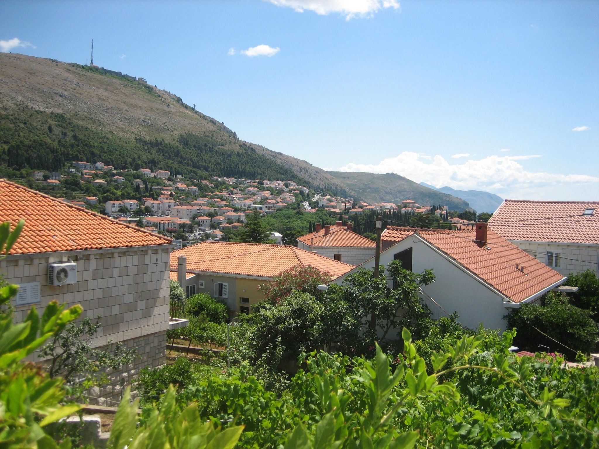 Ivana mitten im Blumengarten-Image-tags.info