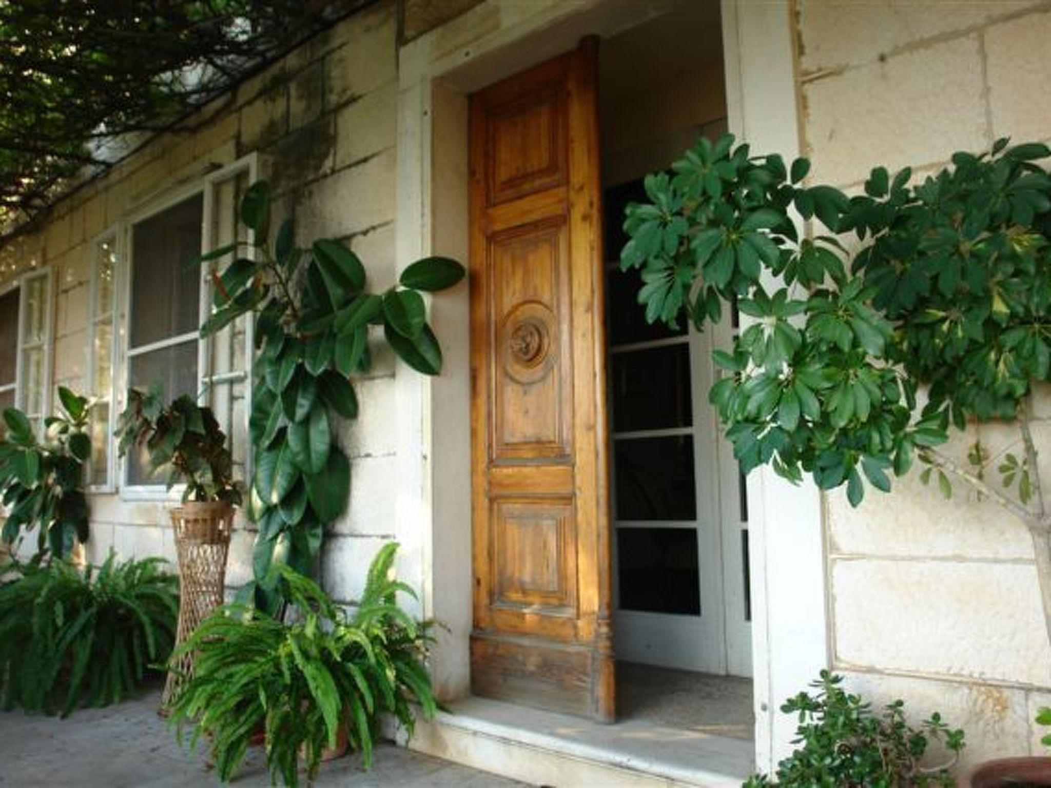 In Pile mit Vorgarten