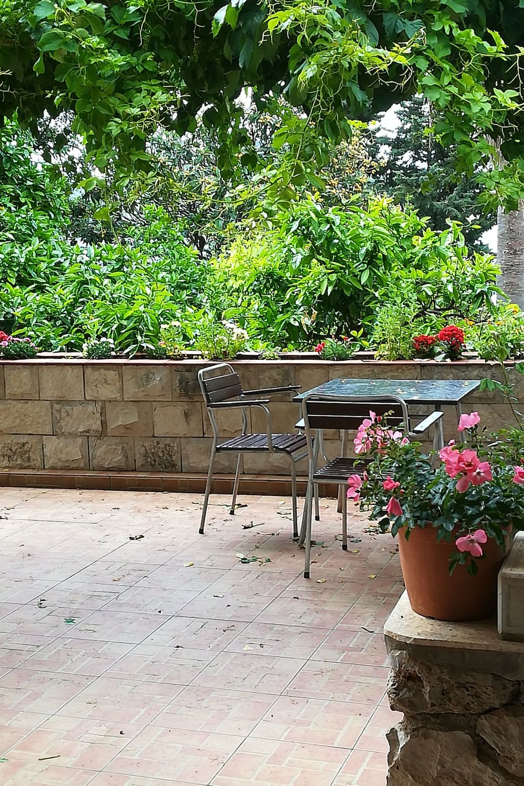 Für 3 Personen ca. 30 m² in Dubrovnik, Dalmatien (Dubrovnik-Neretva)-Drinnen