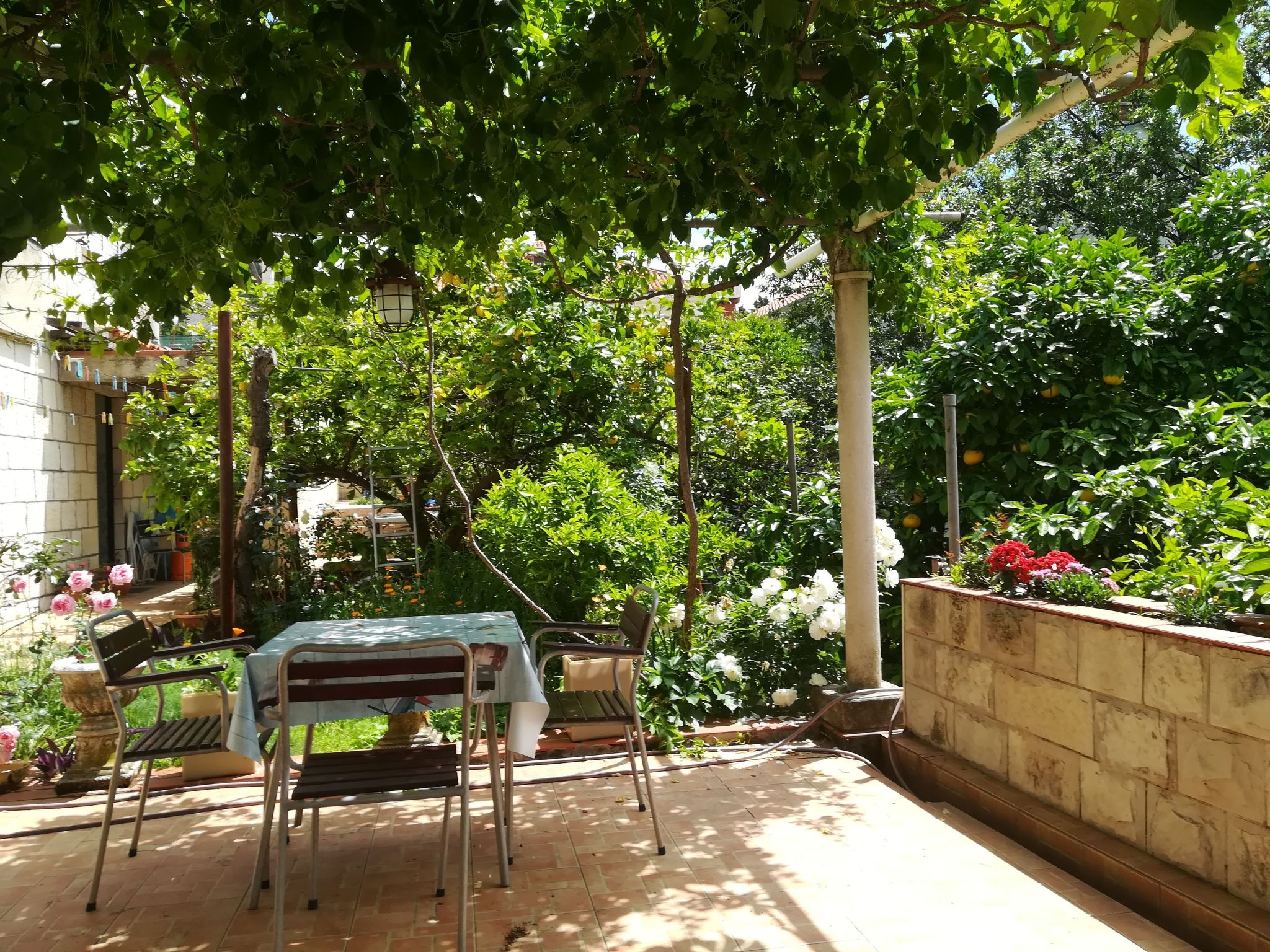 Für 3 Personen ca. 30 m² in Dubrovnik, Dalmatien (Dubrovnik-Neretva)-Drinnen