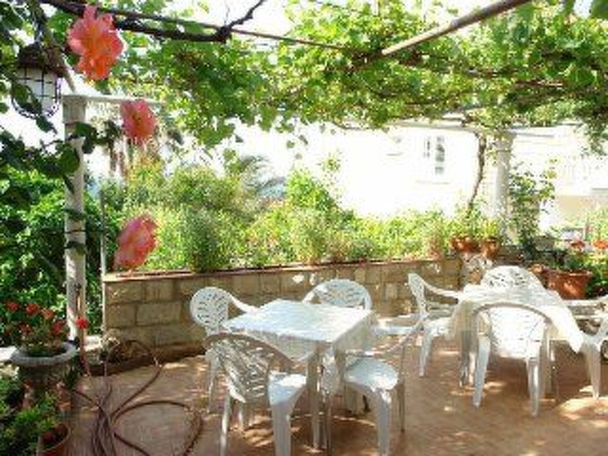 Für 3 Personen ca. 30 m² in Dubrovnik, Dalmatien (Dubrovnik-Neretva)-Drinnen