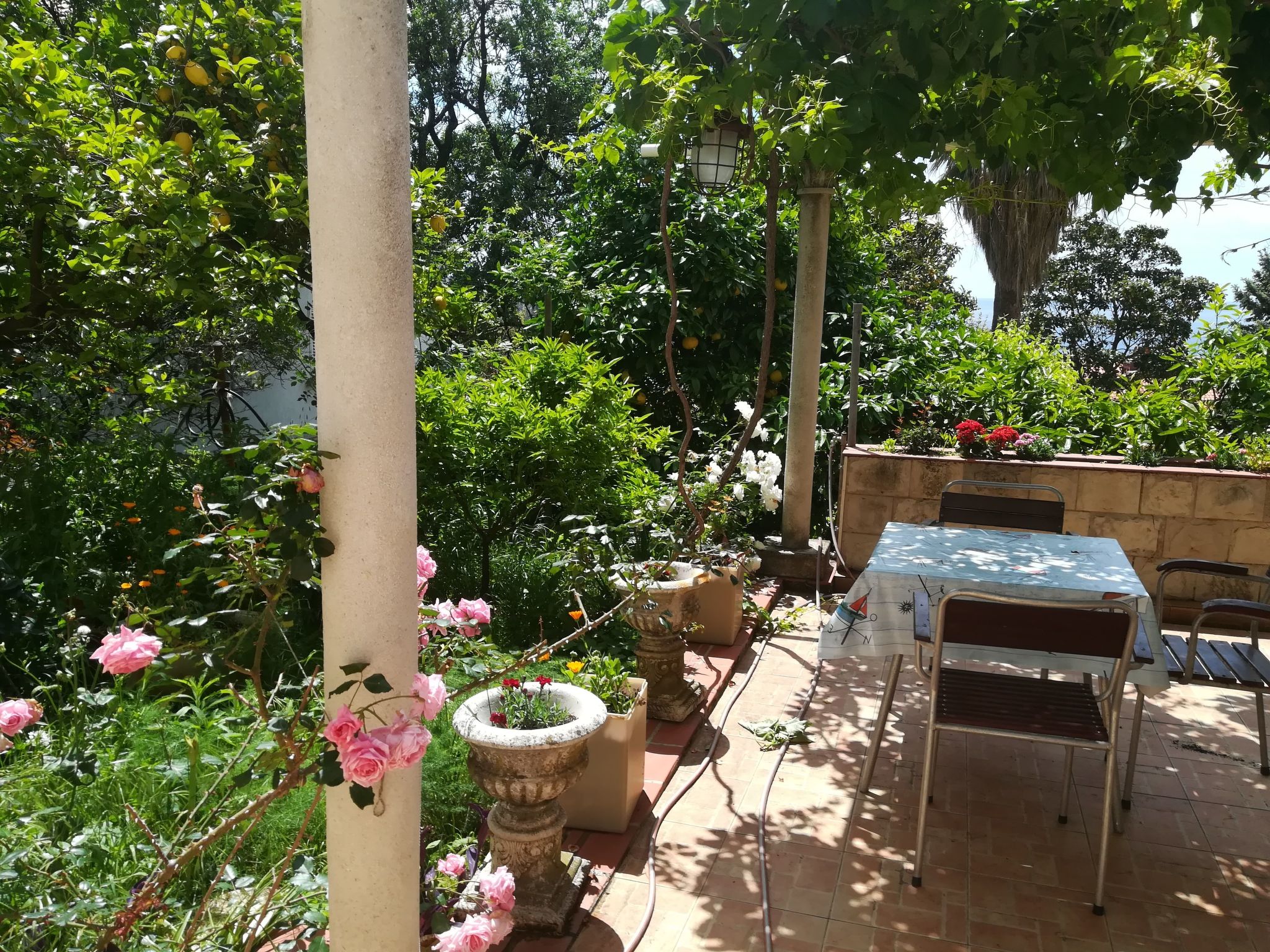 Für 3 Personen ca. 30 m² in Dubrovnik, Dalmatien (Dubrovnik-Neretva)-Drinnen