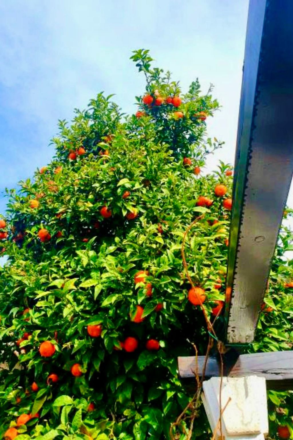 Villa mit Blick auf das Wasser-Buiten
