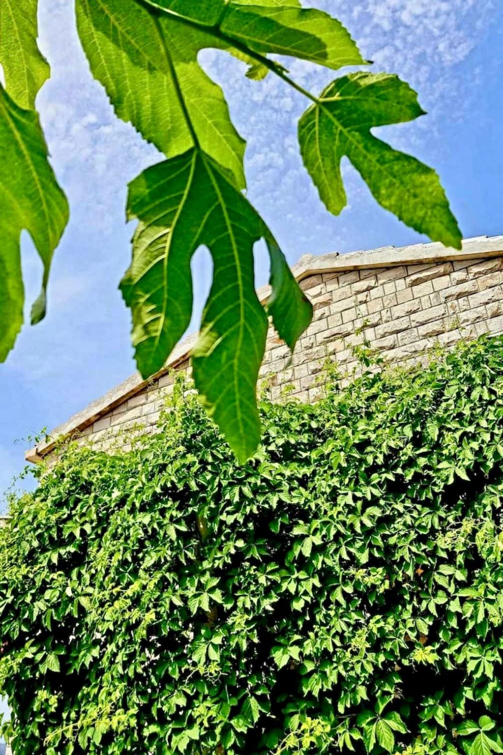 Villa mit Blick auf das Wasser-Image-tags.info