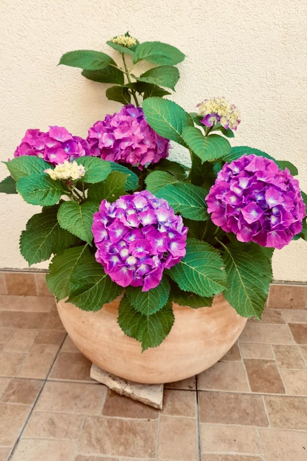 Villa mit Blick auf das Wasser-Buiten