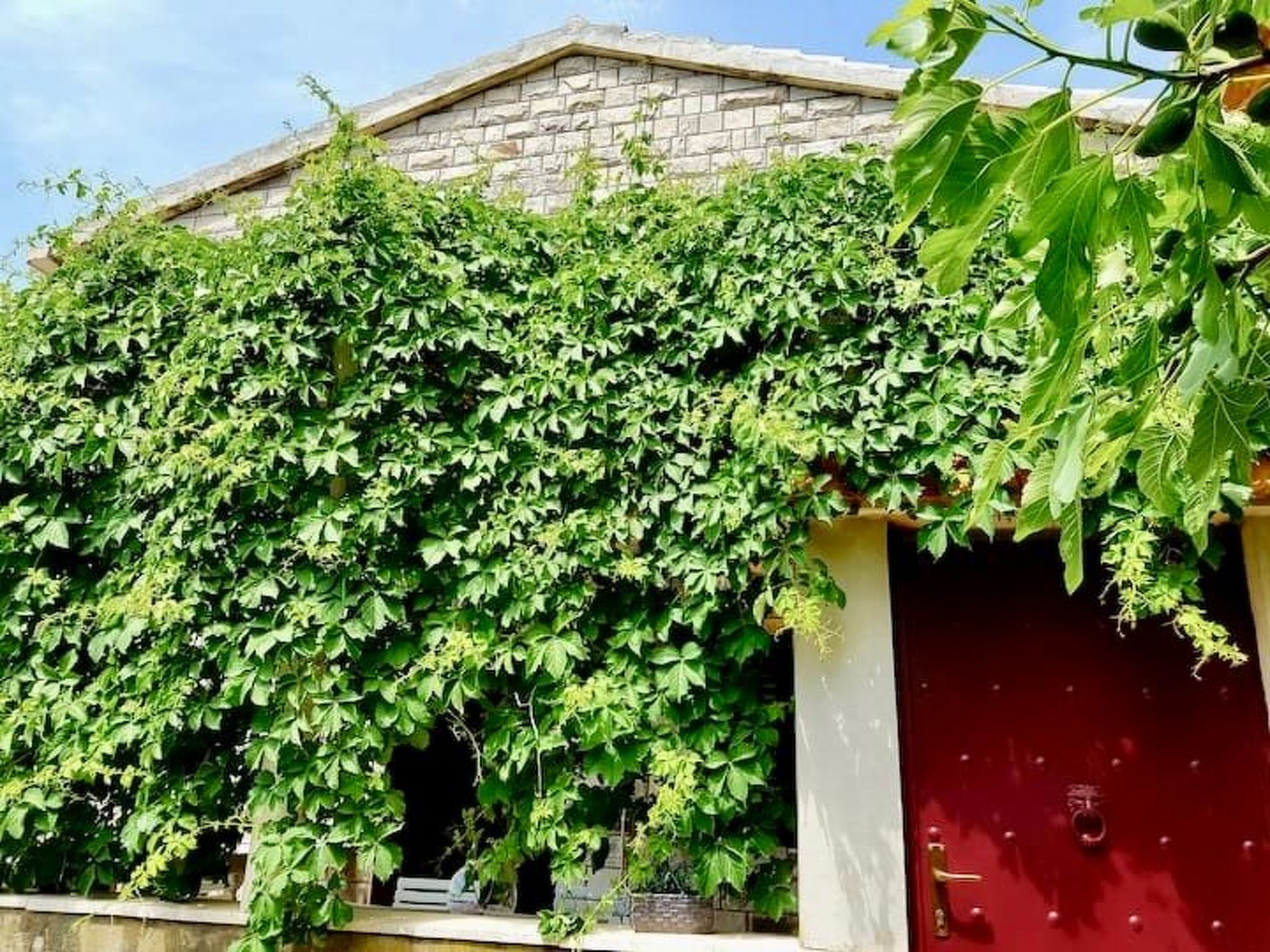 Villa mit Blick auf das Wasser-Buiten
