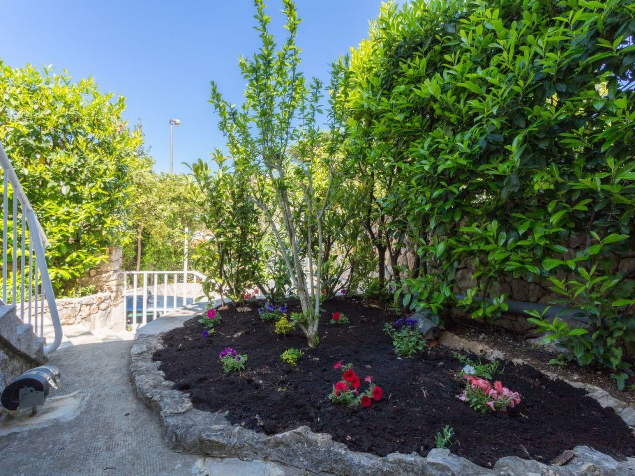 Photo of Wohnung Luna