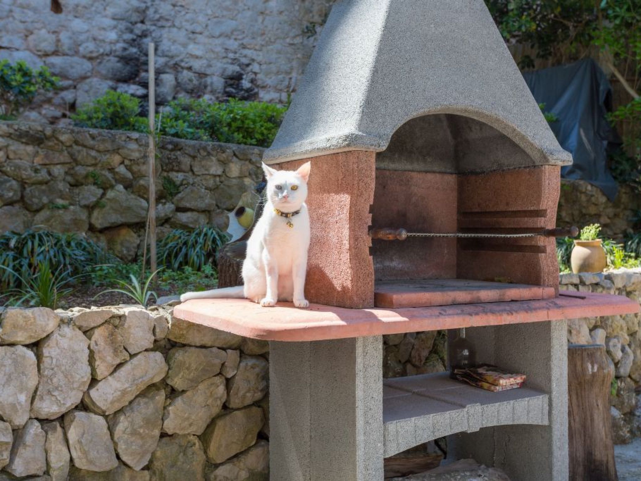 Photo of Wohnung Luna