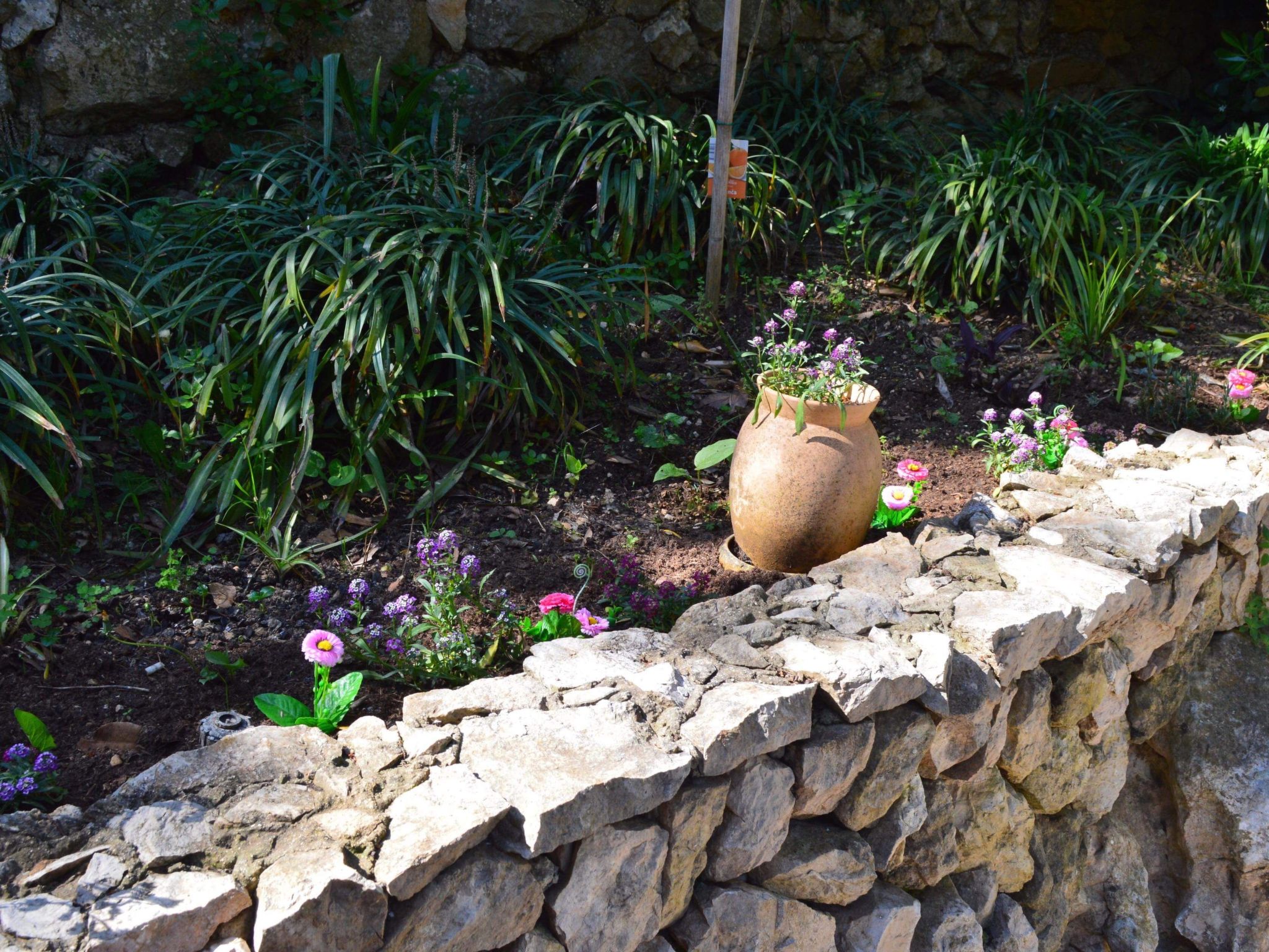 Photo of Wohnung Luna