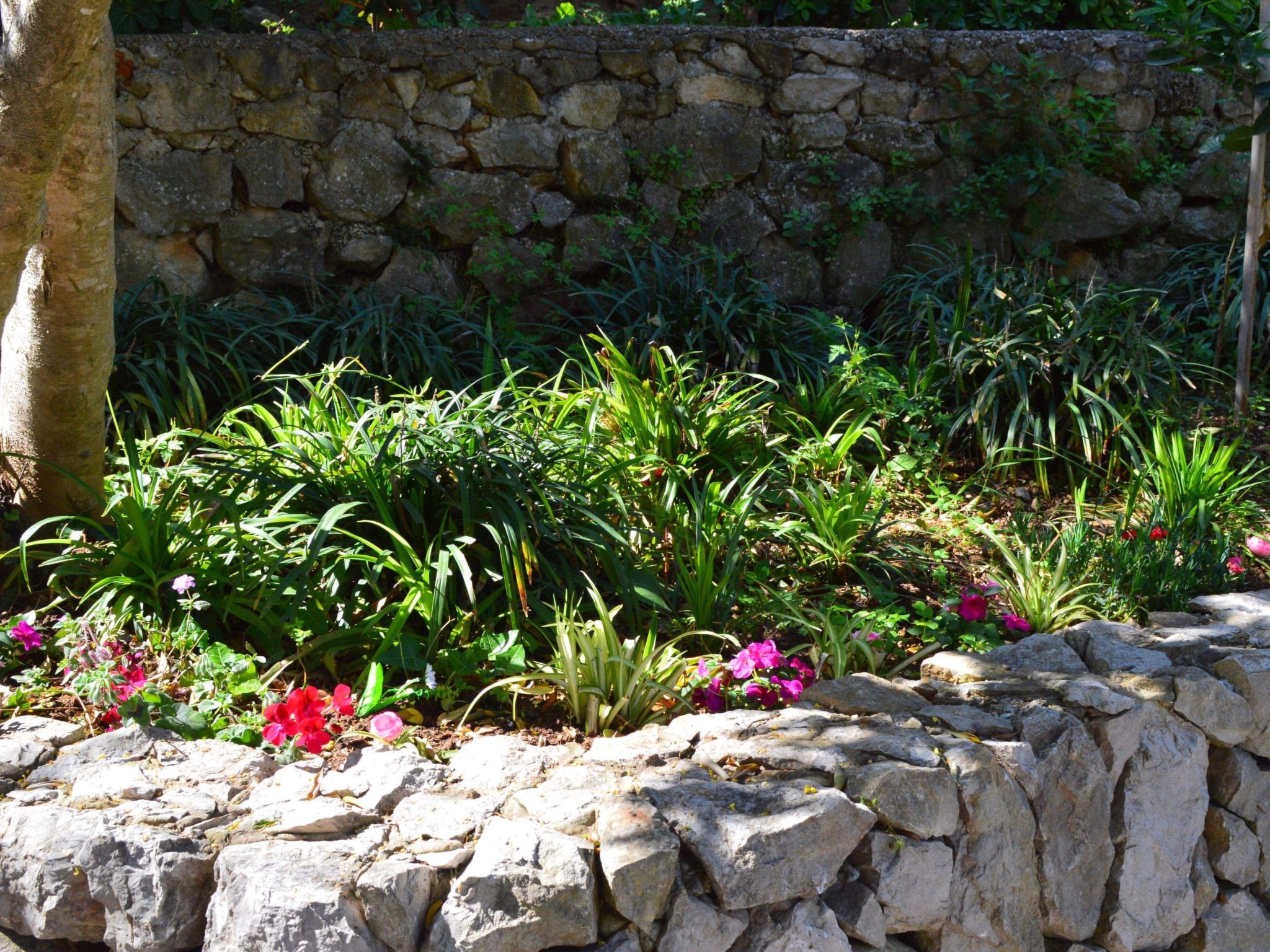 Photo of Wohnung Luna