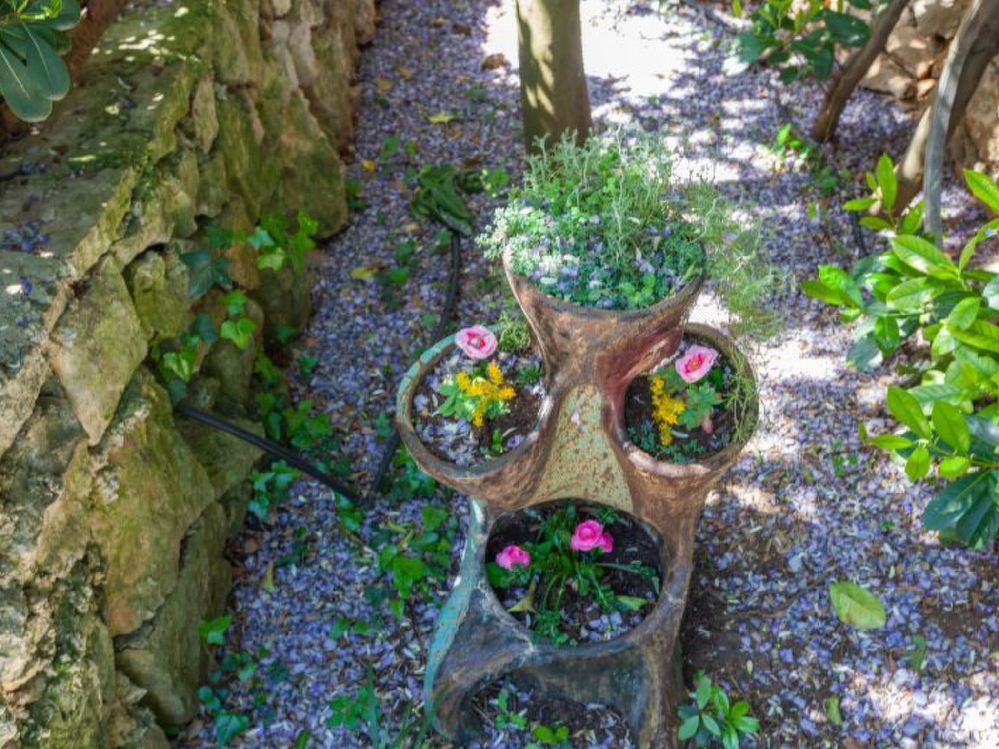 Wohnung Luna-Image-tags.info