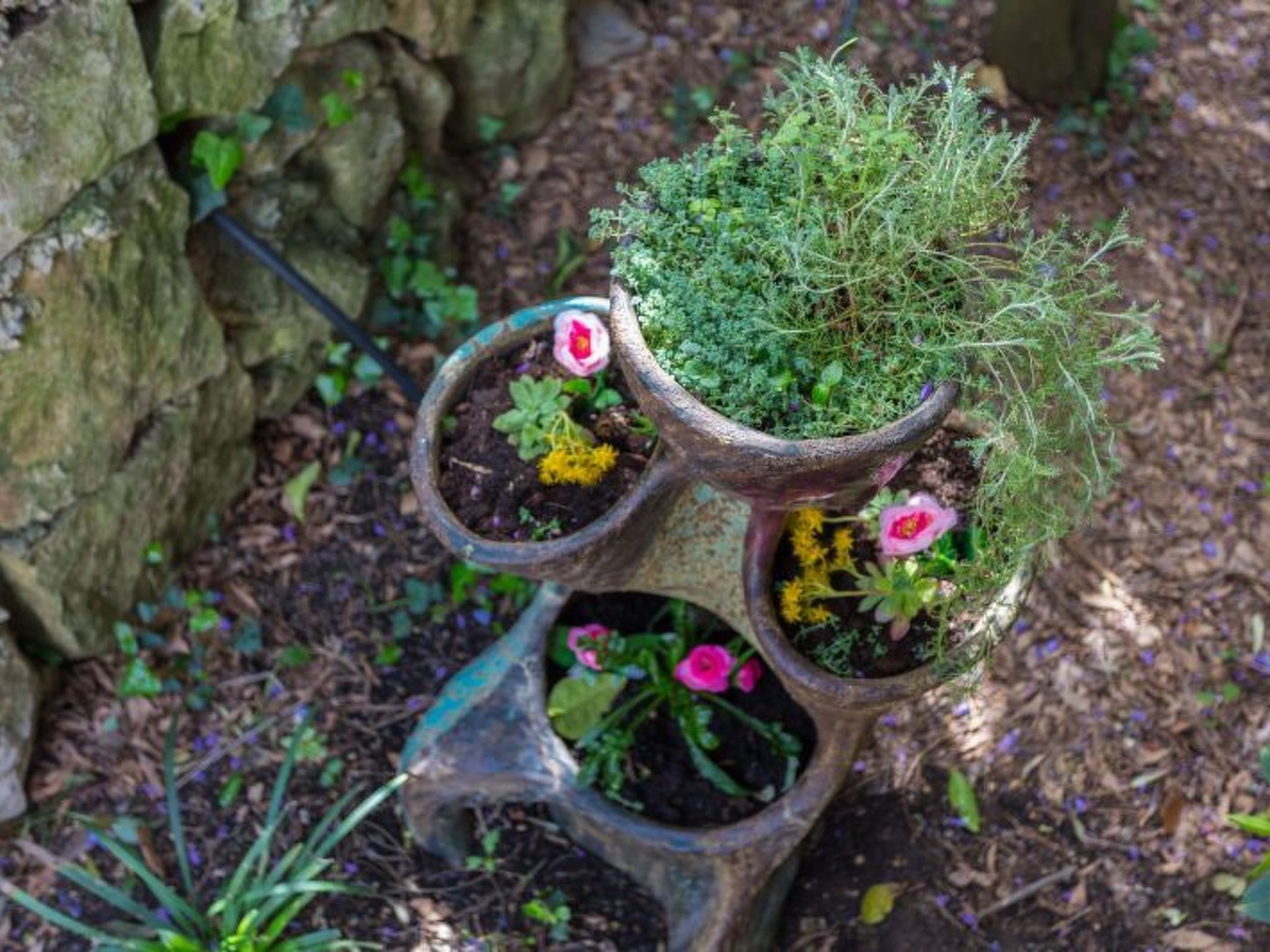 Wohnung Luna-Image-tags.info