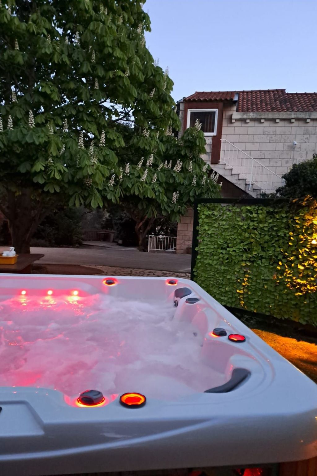 "Helena2" mit Blick auf das Wasser-Binnen