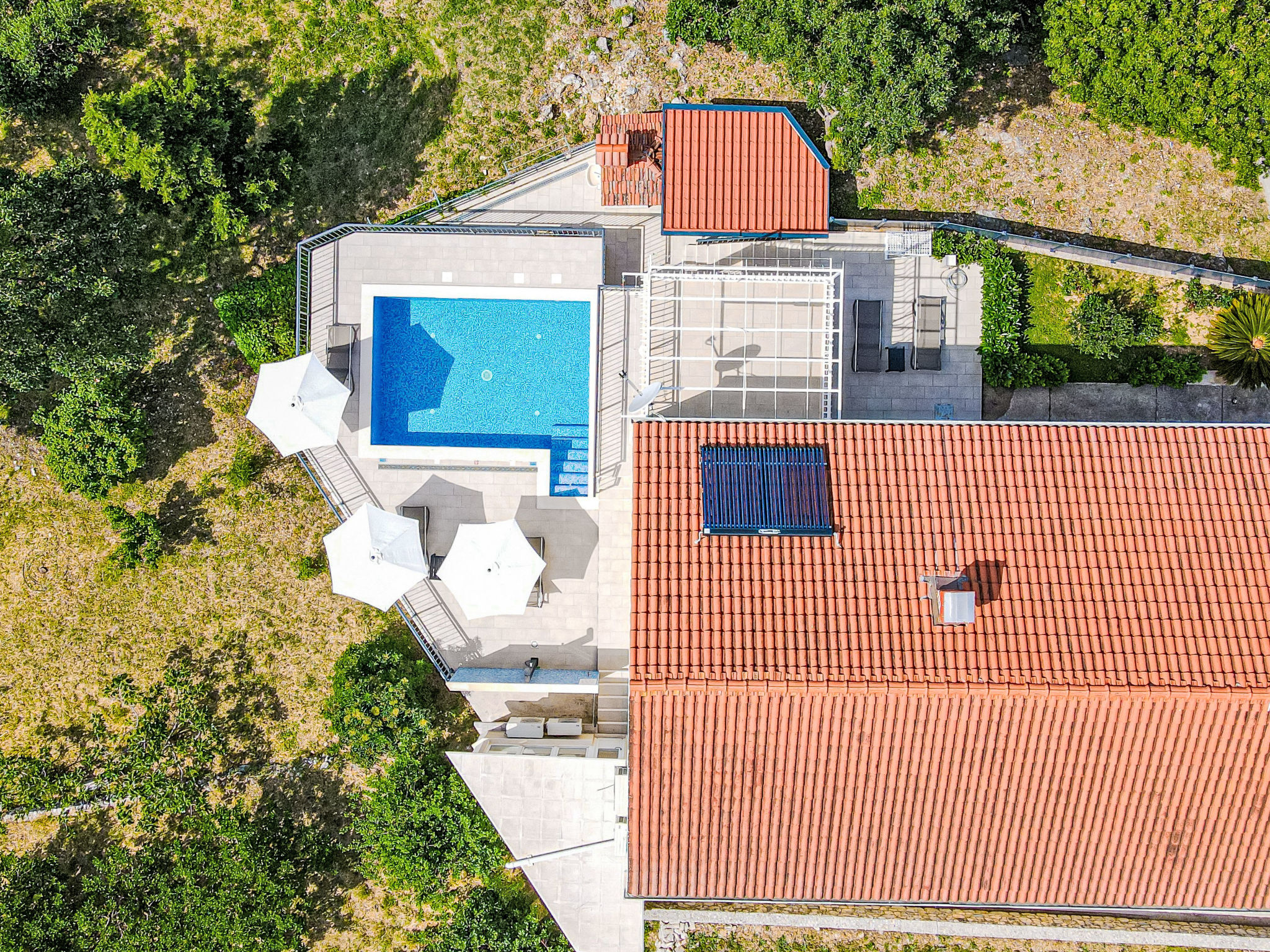 Villa Mambo - Draußen